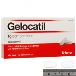 GELOCATIL 1 g 10 COMPRIMIDOS